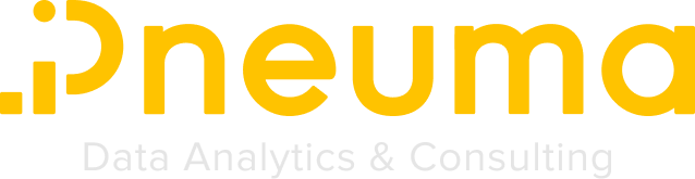 Pneuma Data Analytics & Consulting